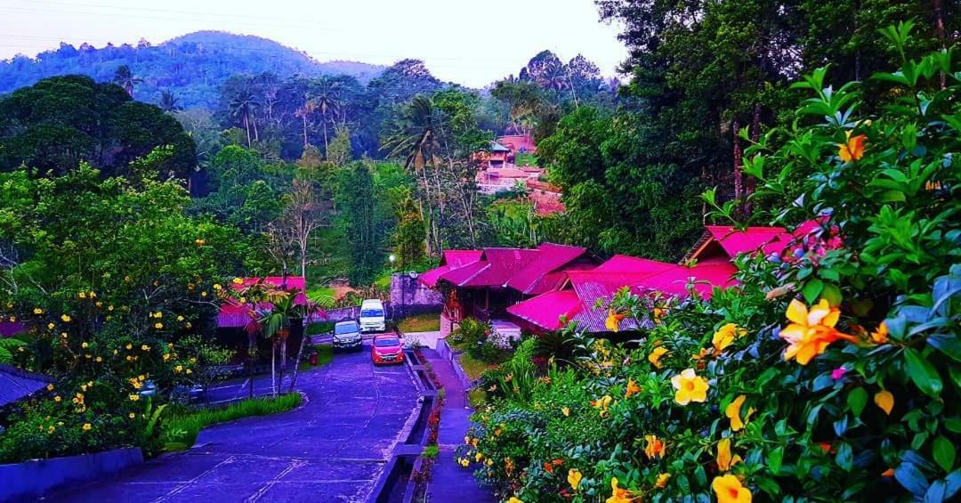 Highland Resort & Nature Tours Tomohon Exterior foto